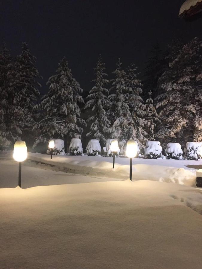 Apartmani Berghaus Zlatibor Luaran gambar